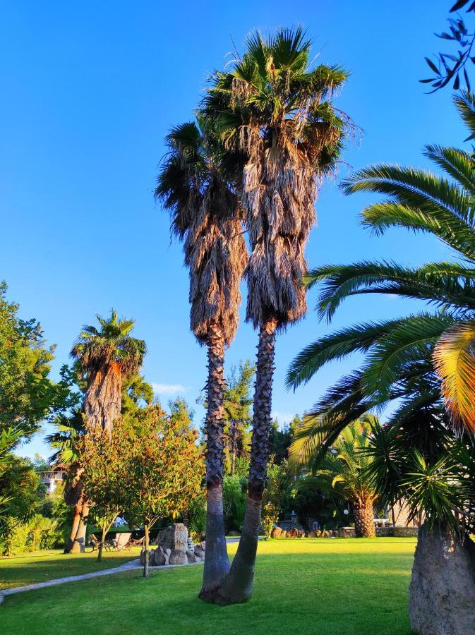 Chrouso Apartments Paliouri Bagian luar foto