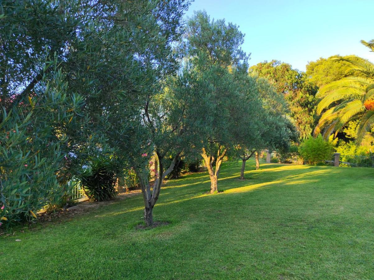 Chrouso Apartments Paliouri Bagian luar foto