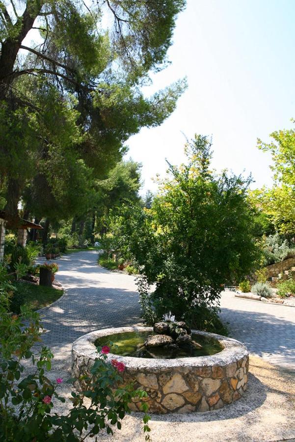 Chrouso Apartments Paliouri Bagian luar foto